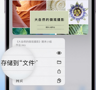 昌图apple维修中心分享iPhone文件应用中存储和找到下载文件