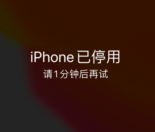 昌图苹果手机维修分享:iPhone 显示“不可用”或“已停用”怎么办？还能保留数据吗？ 