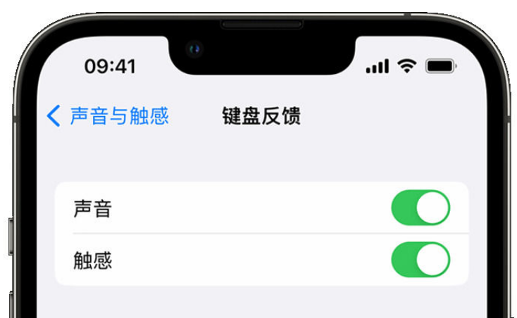 昌图苹果手机维修分享iPhone 14触感键盘使用方法 