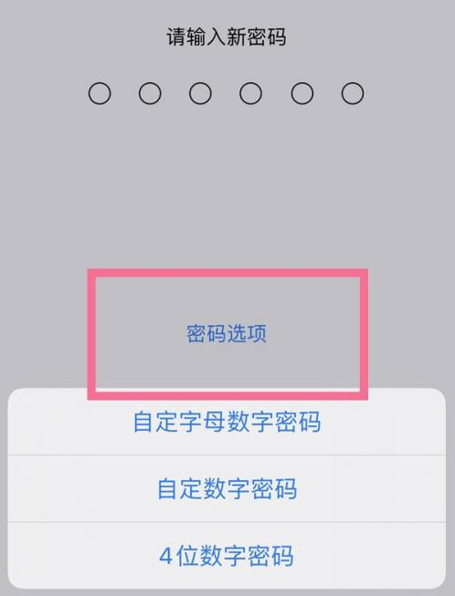 昌图苹果14维修分享iPhone 14plus设置密码的方法 