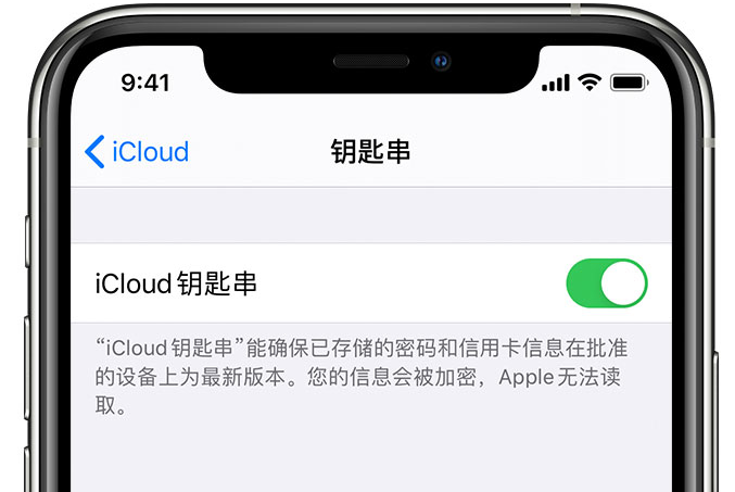 昌图苹果手机维修分享在 iPhone 上开启 iCloud 钥匙串之后会储存哪些信息 
