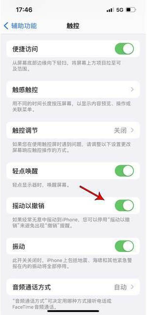 昌图苹果手机维修分享iPhone手机如何设置摇一摇删除文字 