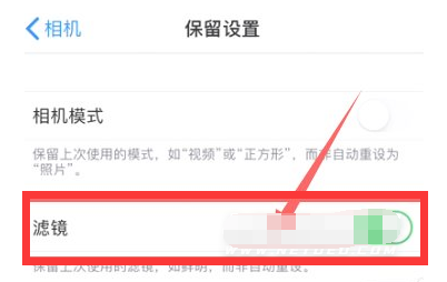 昌图苹果13维修分享iPhone13拍照有绿点是怎么回事 