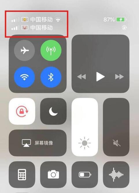 昌图苹果手机维修分享为 iPhone 12 双卡设置标签 